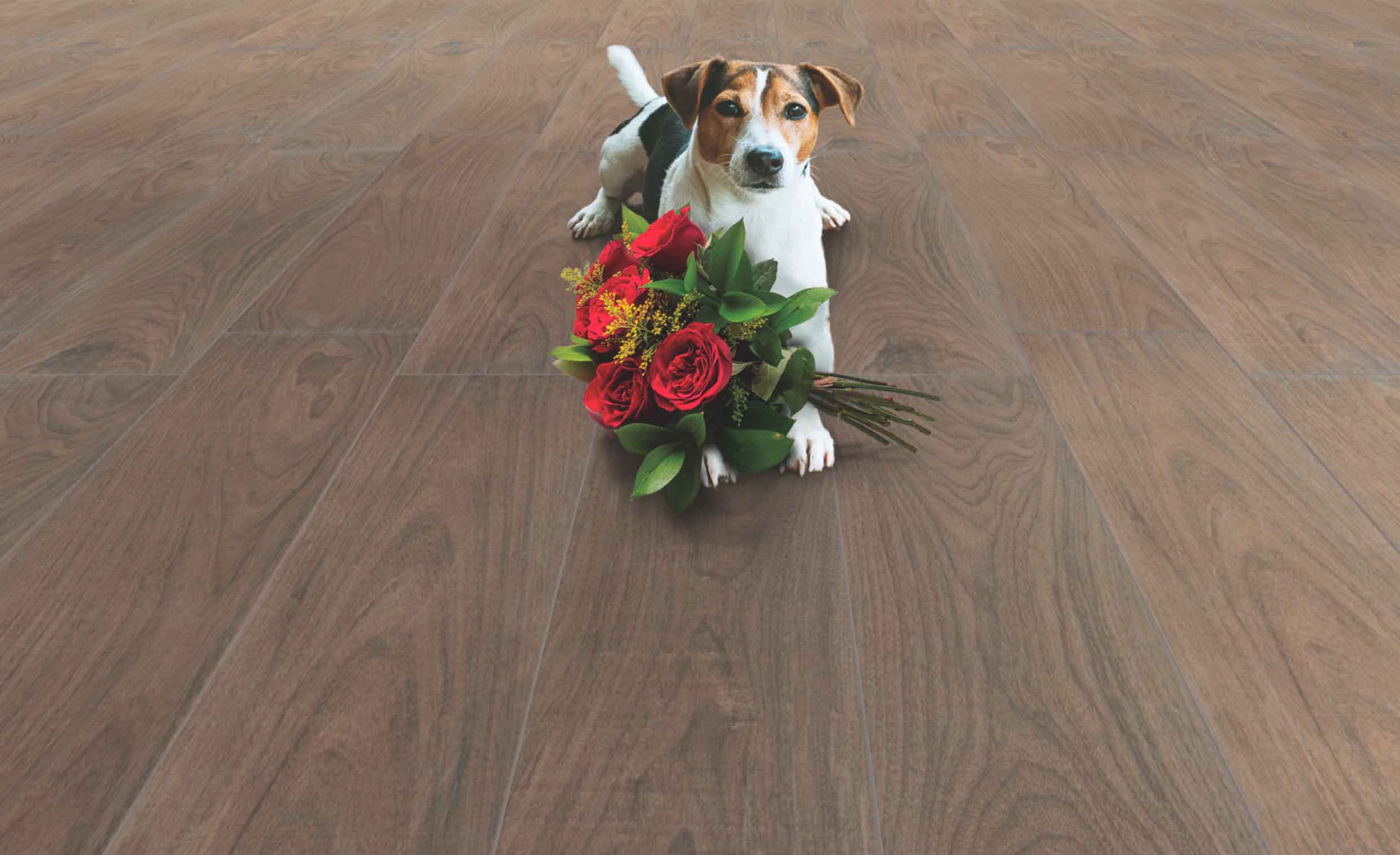 REVESTIMENTO REGUA CERAMICA 19X119CM NOGAL BROWN RETIFICADO caixa 2,23M² (10 peças) COD.3426 - CEJATEL